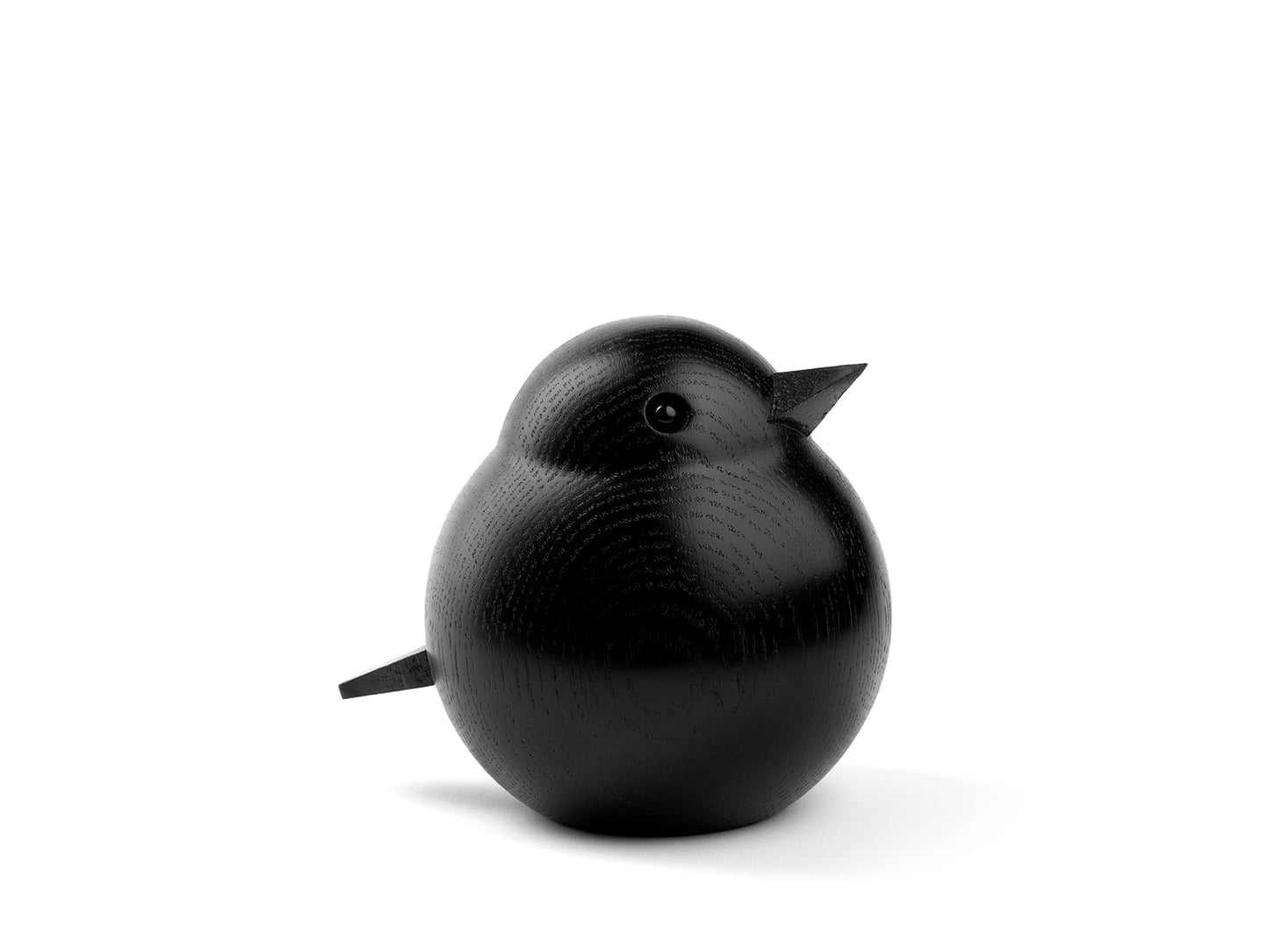 Papa Sparrow