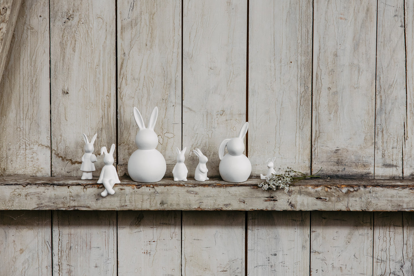 Hase Tore