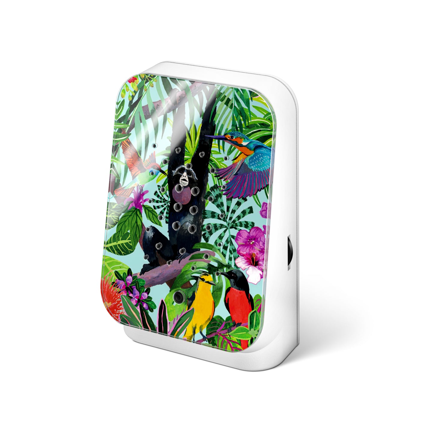 Jungle Box