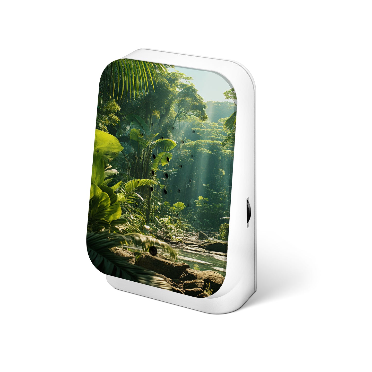 Jungle Box