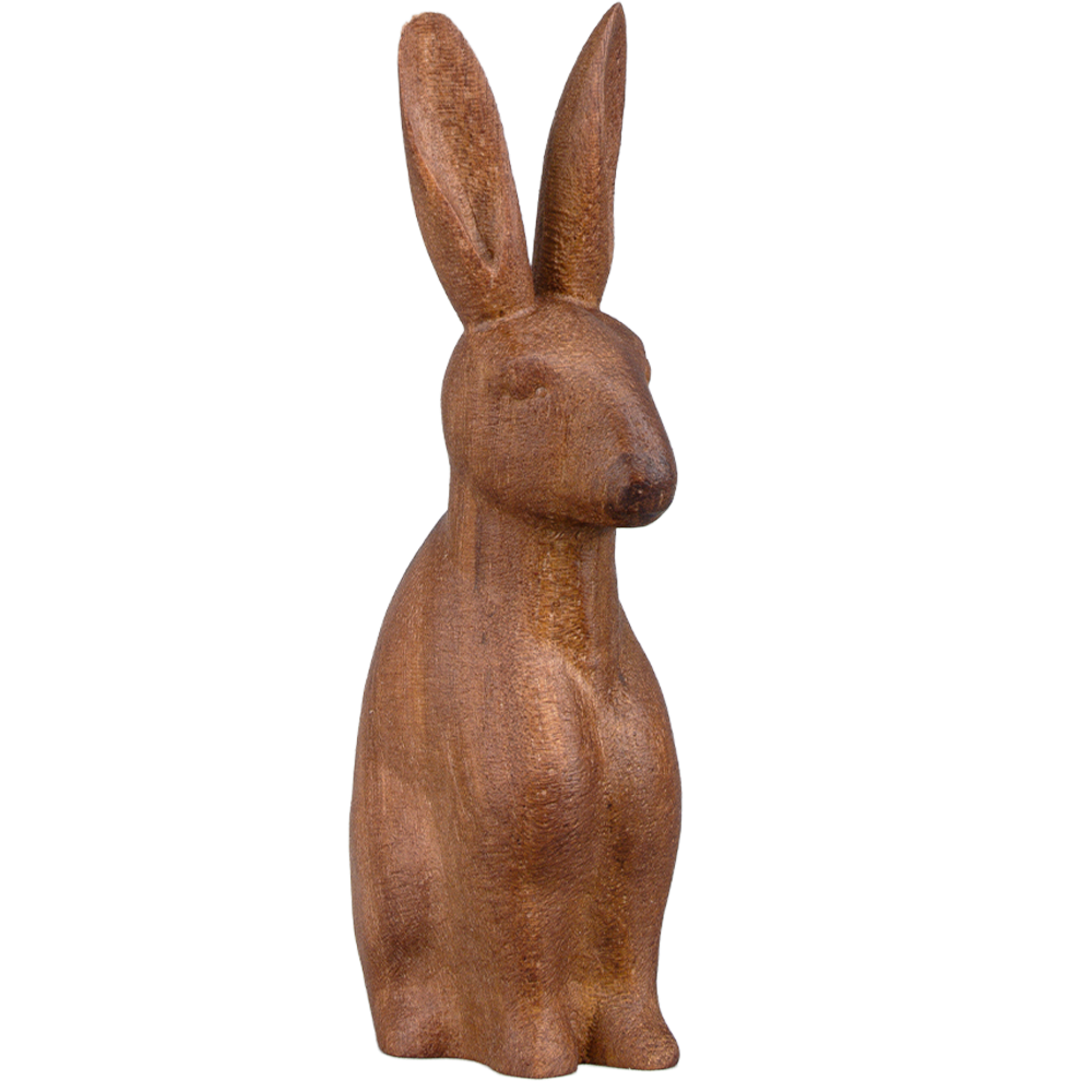 Hase - stehend