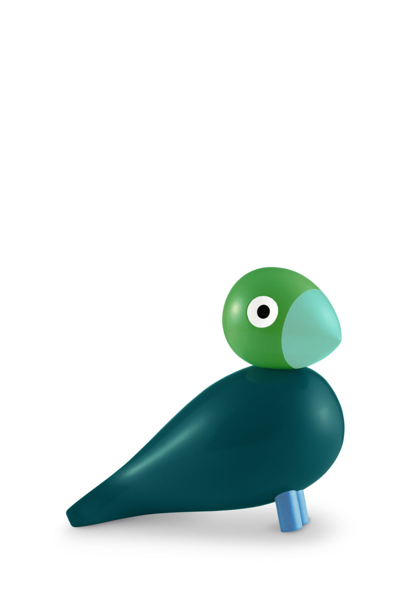 Year Bird Birk 2026