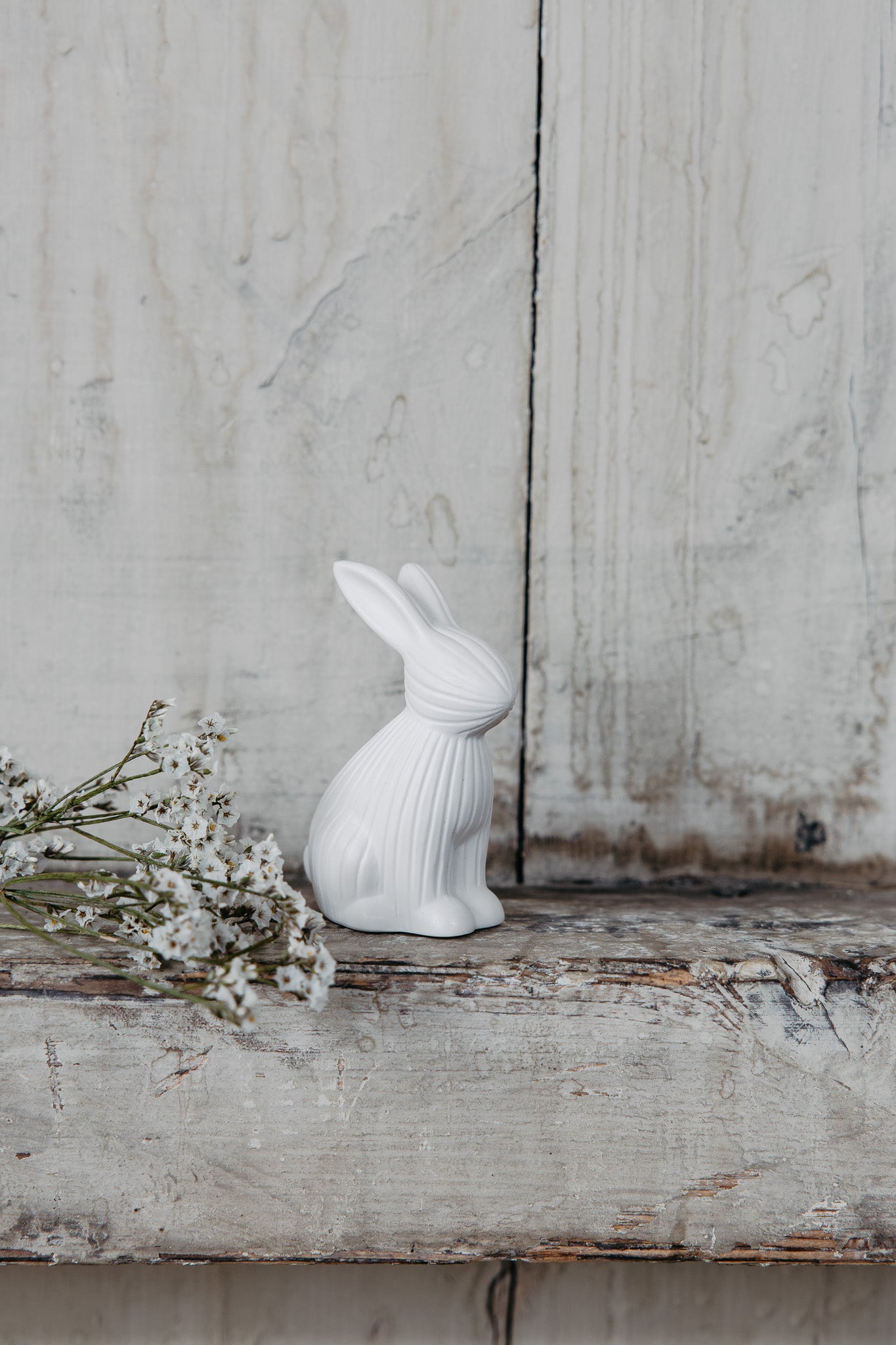 Hase - Arthur