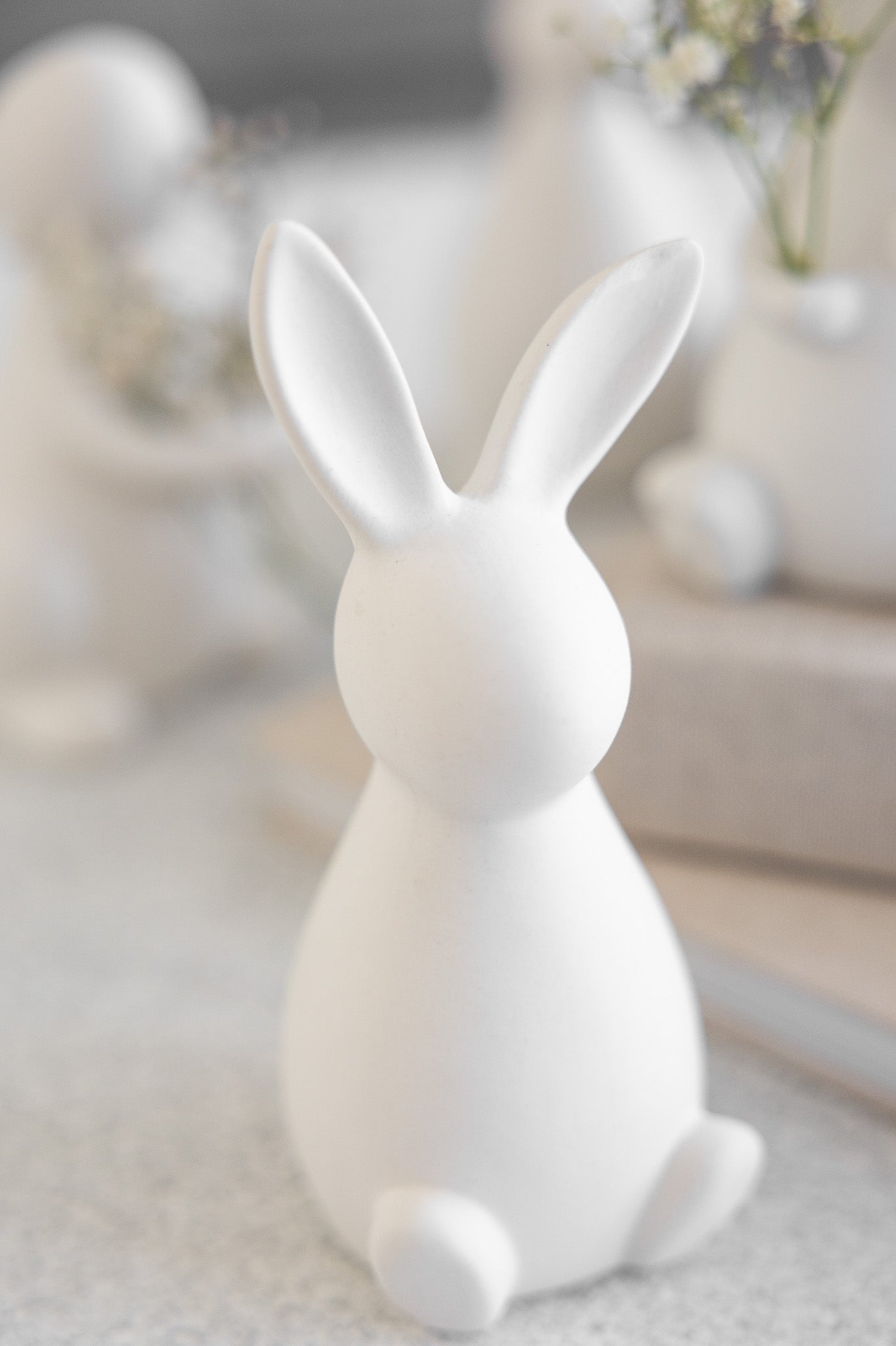 Hase - Hector