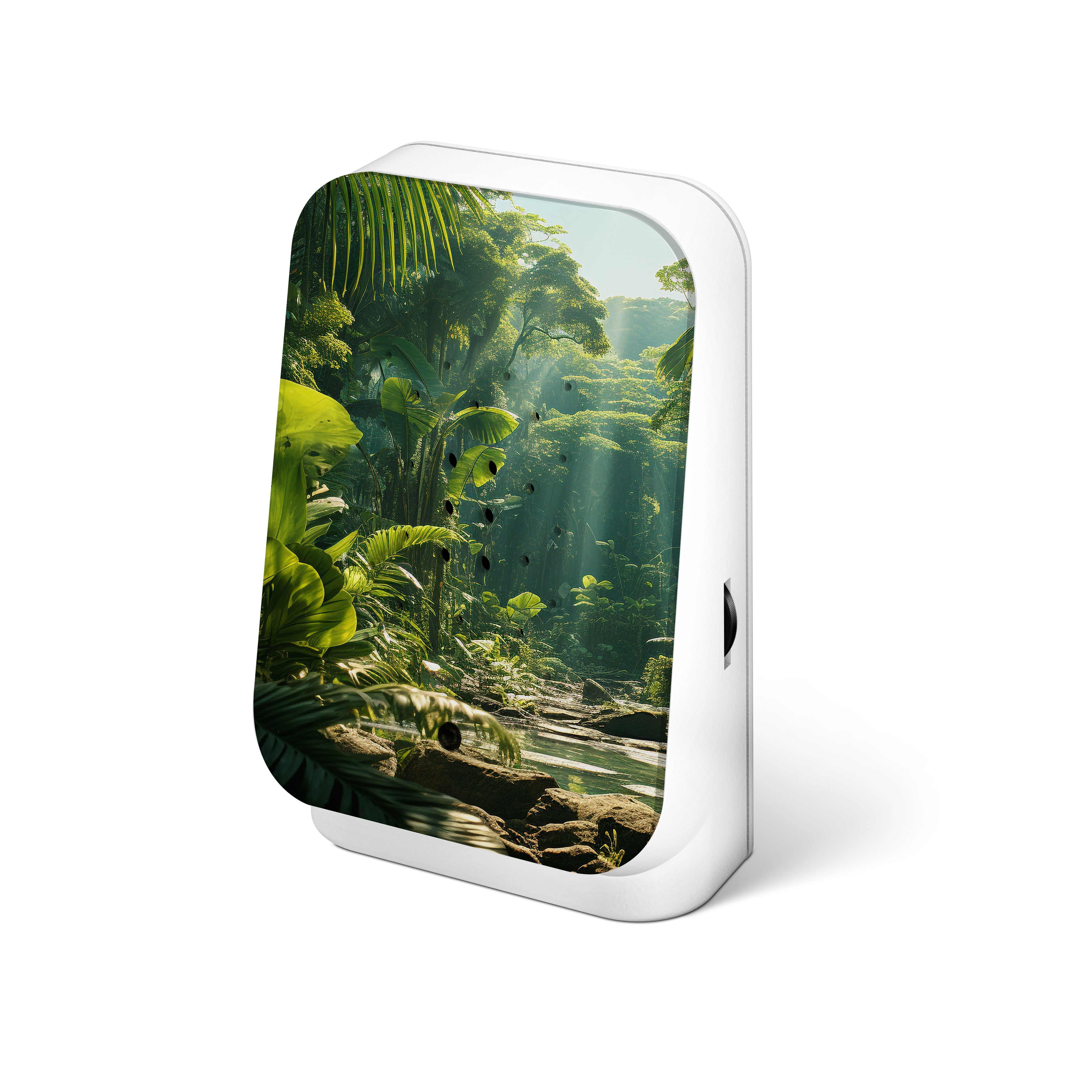 Jungle Box