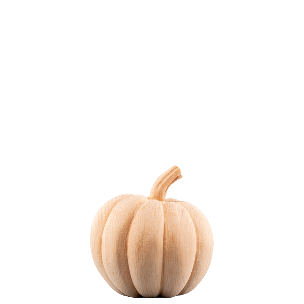 Kürbis - natur