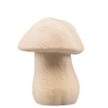 Steinpilz - natur