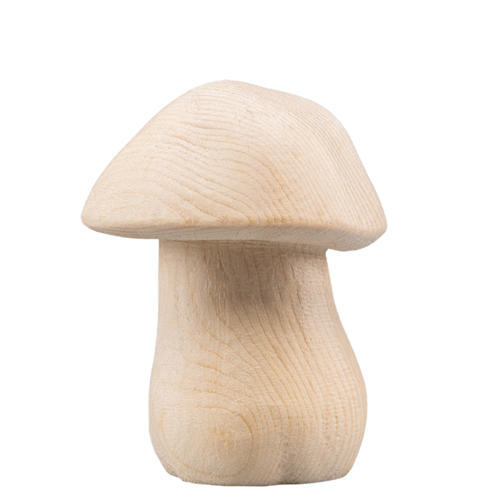Steinpilz - natur