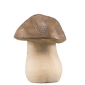 Steinpilz - gebeizt
