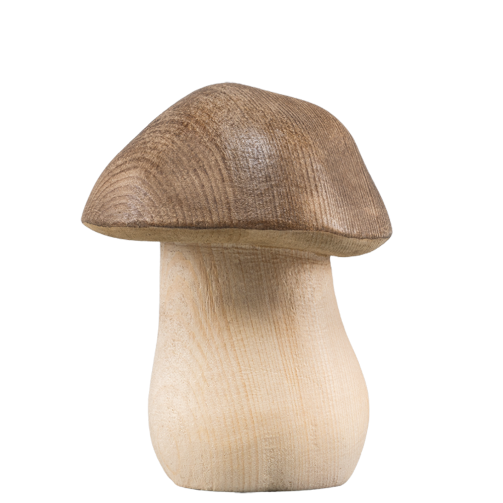 Steinpilz - gebeizt