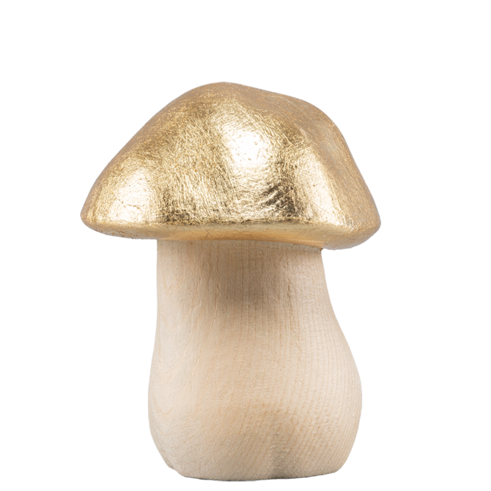 Steinpilz - gold