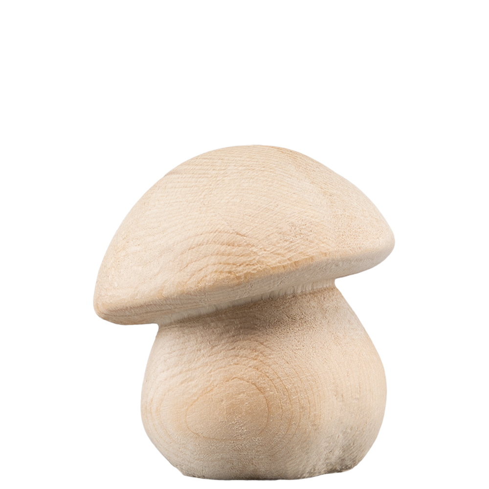 Steinpilz - natur