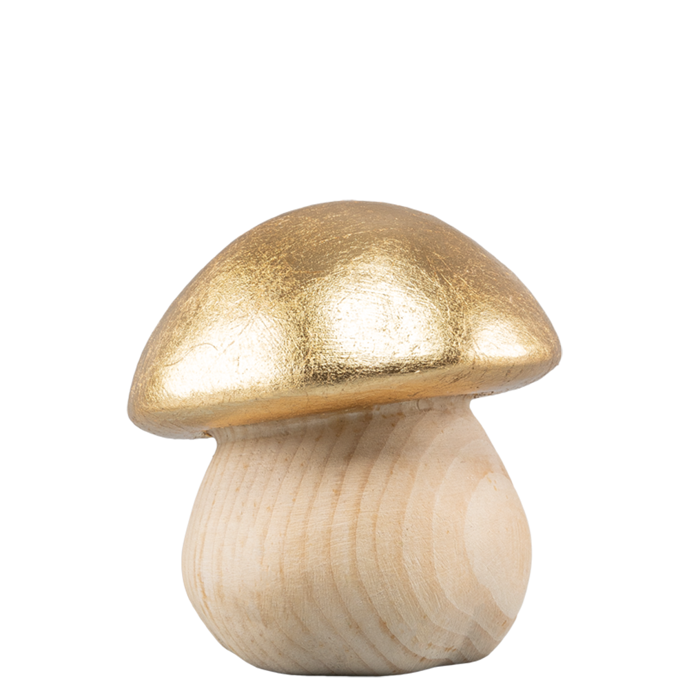Steinpilz - gold